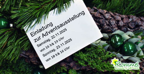 Adventausstellung, Blumen Rommel in Nonnenhorn