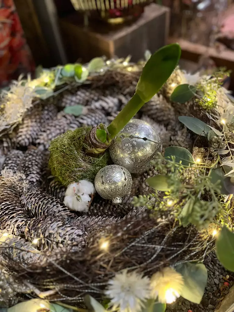 Blumen und Gärtnerei Rommel, Nonnenhorn, Weihnachten, Advent, Neujahr, Dekoration