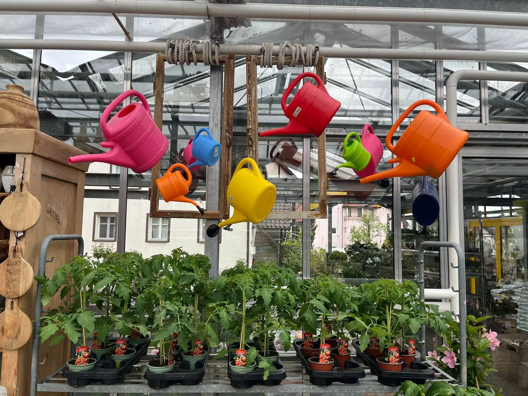 Tag der offenen Gärtnerei, Blumen und Gärtnerei Rommel in Nonnenhorn