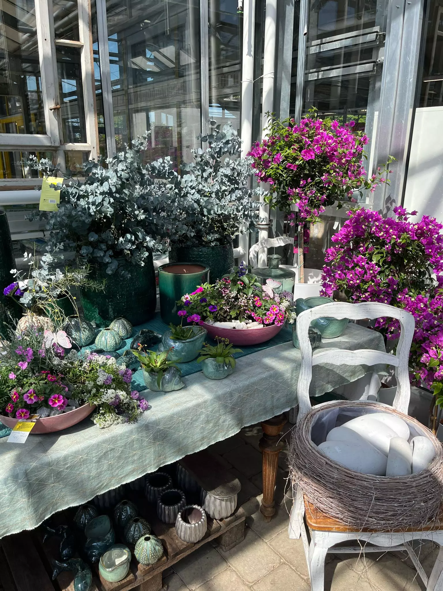 Tag der offenen Gärtnerei, Blumen und Gärtnerei Rommel in Nonnenhorn