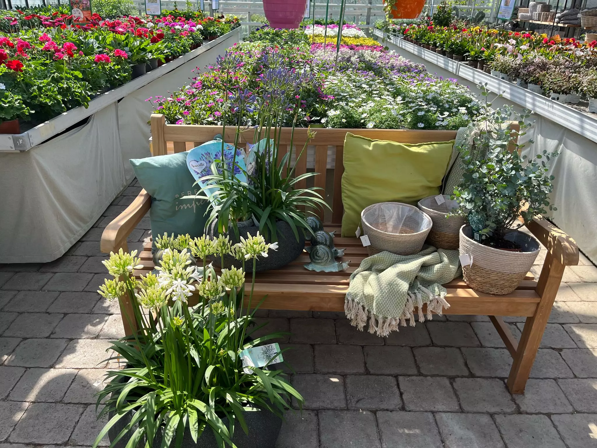 Tag der offenen Gärtnerei, Blumen und Gärtnerei Rommel in Nonnenhorn