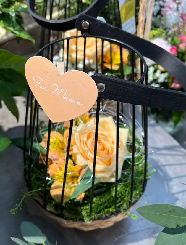 Blumengeschäft am Bodensee, Rommel, Gärtnerei, Blumen, Kontakt, Nonnenhorn