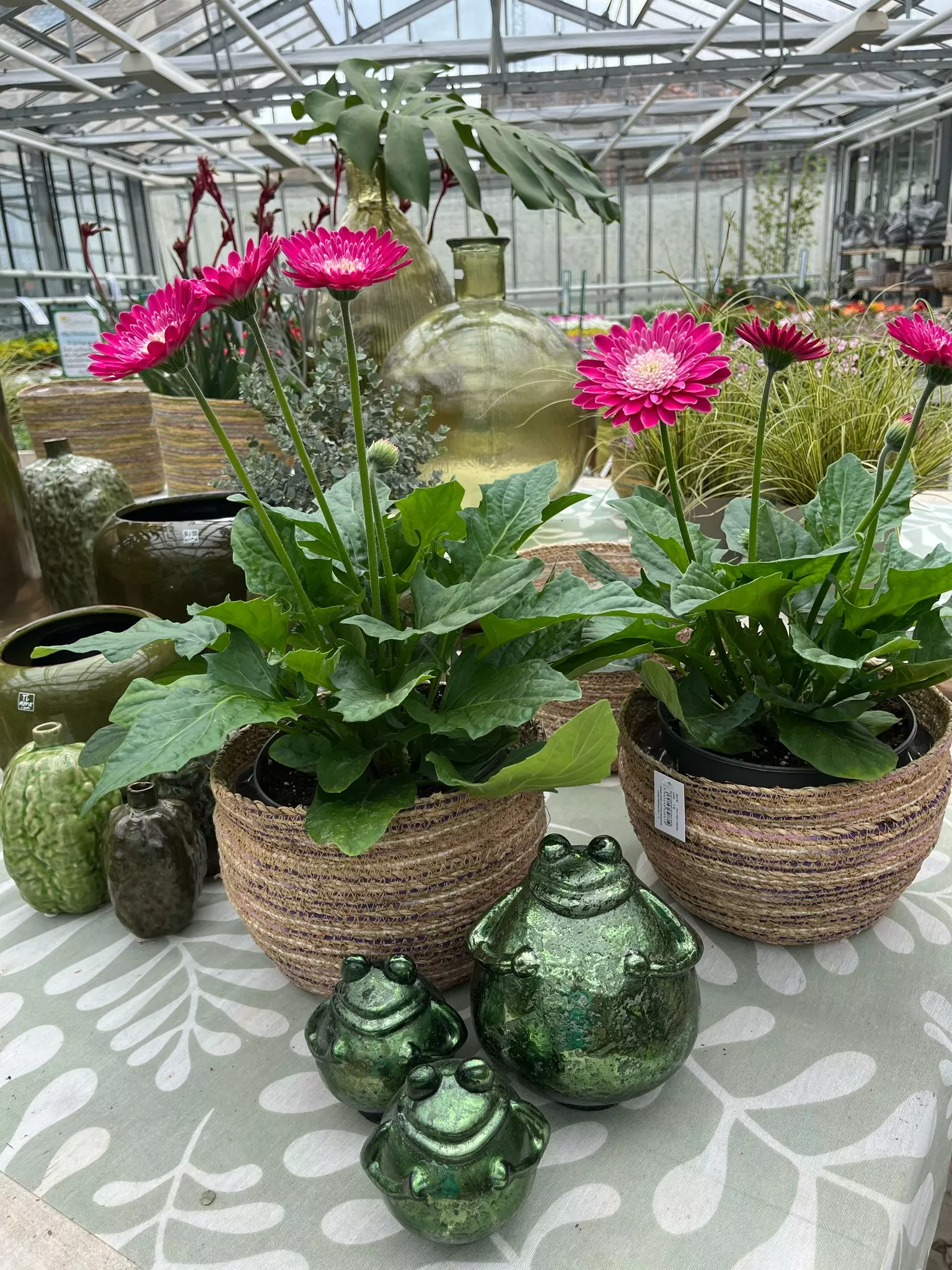 Tag der offenen Gärtnerei, Blumen und Gärtnerei Rommel in Nonnenhorn