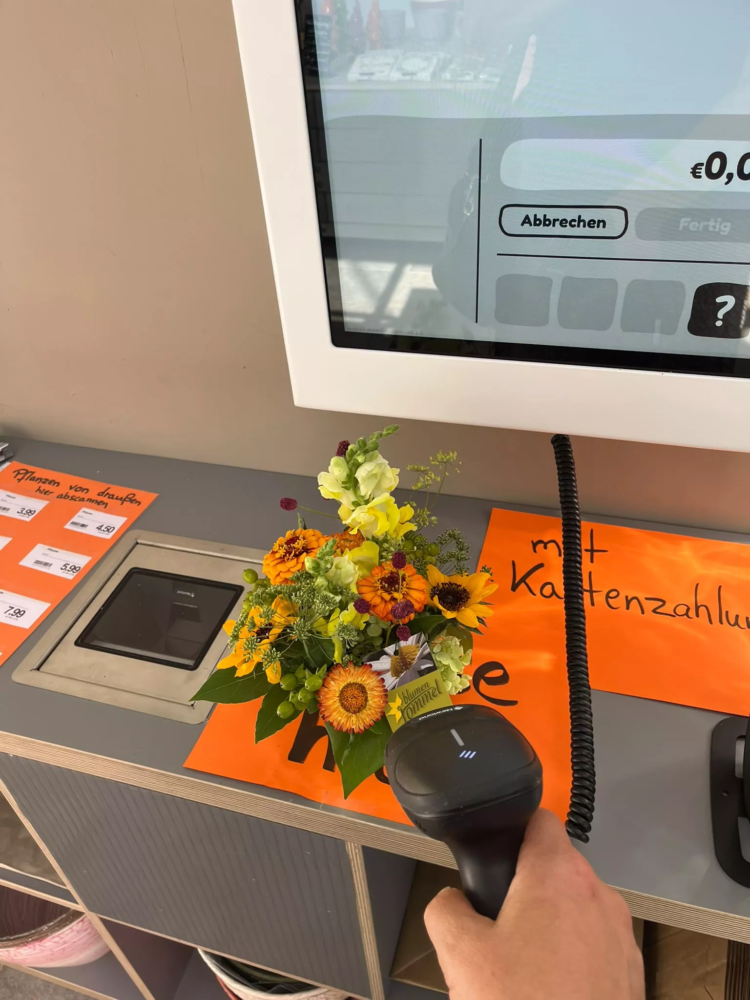 Blumen und Gärtnerei Rommel in Nonnenhorn, Blumen und Gemüse, Selbstbedienung, Nonnenhorn, Bodensee