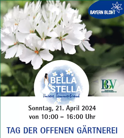 Tag der offenen Gärtnerei 2024, Blumen Rommel, Nonnenhorn